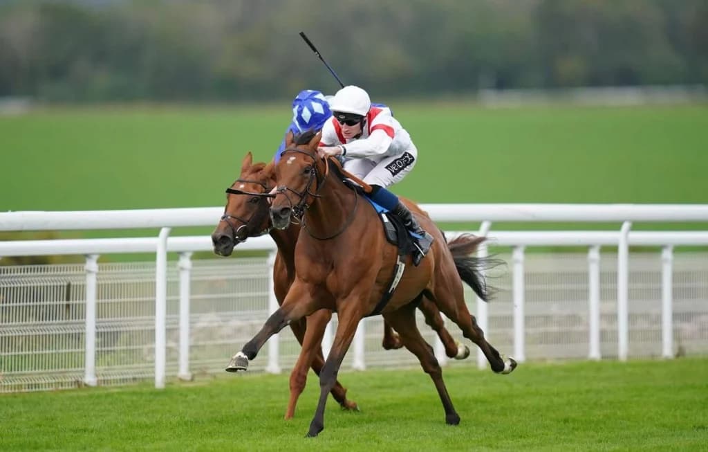 Wednesday’s Horse Racing Tips: Goodwood, July 27th