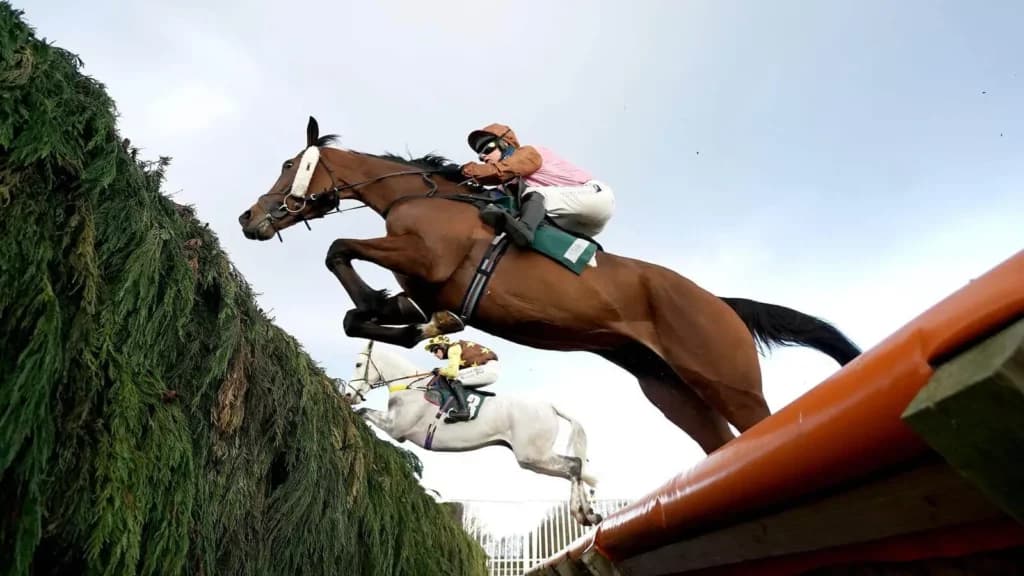 Monday’s Horse Racing Tips: Catterick, November 28th