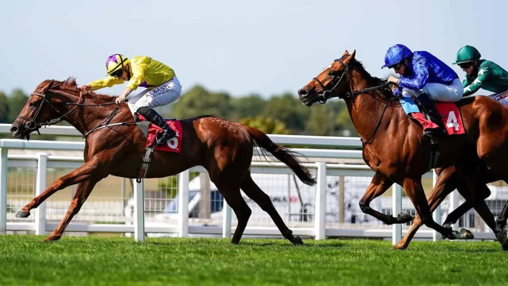 Saturday’s Horse Racing Tips: Aintree, Sandown, December 7th