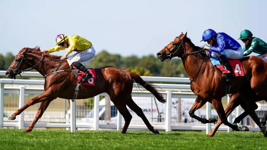 Saturday’s Horse Racing Tips: Sundown, Wincanton January 6th