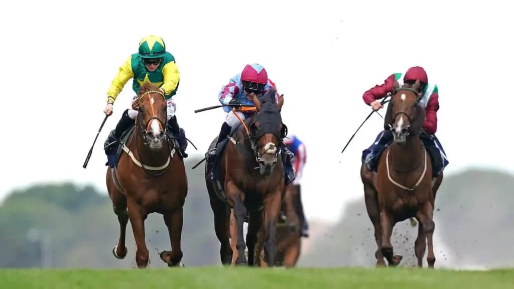 Friday’s Horse Racing Tips: Brighton, June 9th