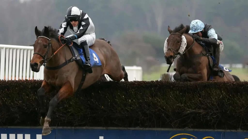 Saturday’s Horse Racing Tips: Market Rasen, Newbury, July 20th