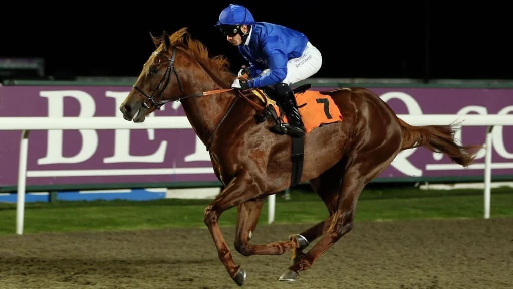 Thursday's Horse Racing Tips: Kempton, December 26th