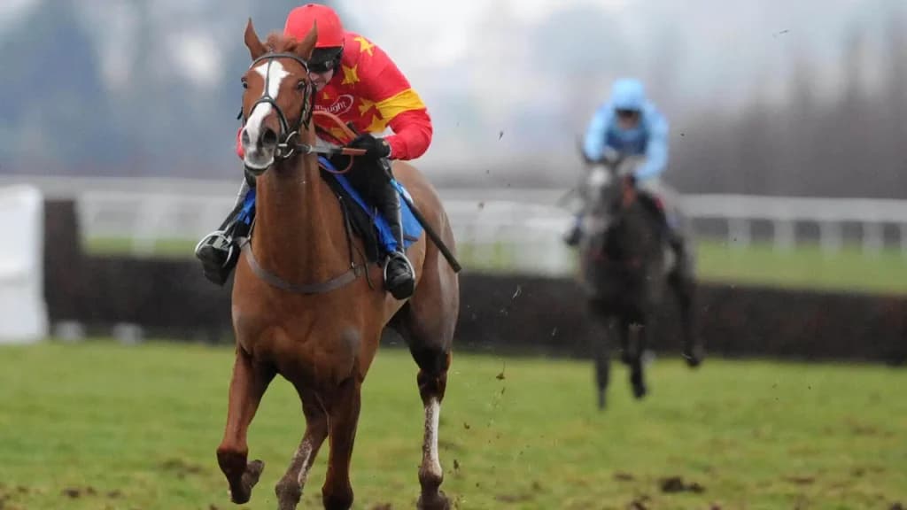 Thursday's Horse Racing Tips: Taunton, February 29th