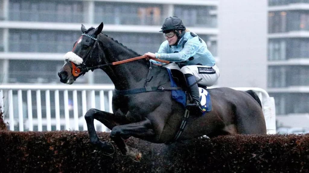 Saturday's Horse Racing Tips: Newbury, Warwick, February 11th