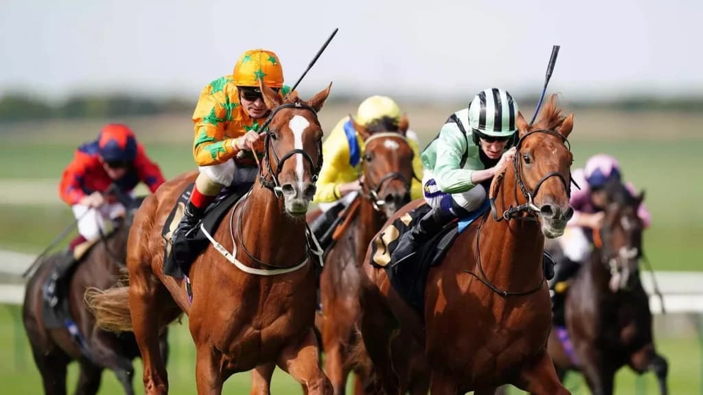 Saturday’s Horse Racing Tips: Haydock, Newmarket, September 24th