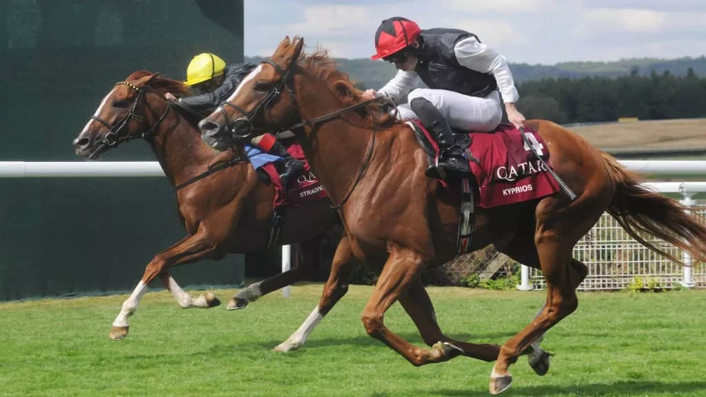 Wednesday’s Horse Racing Tips: Goodwood, August 2nd
