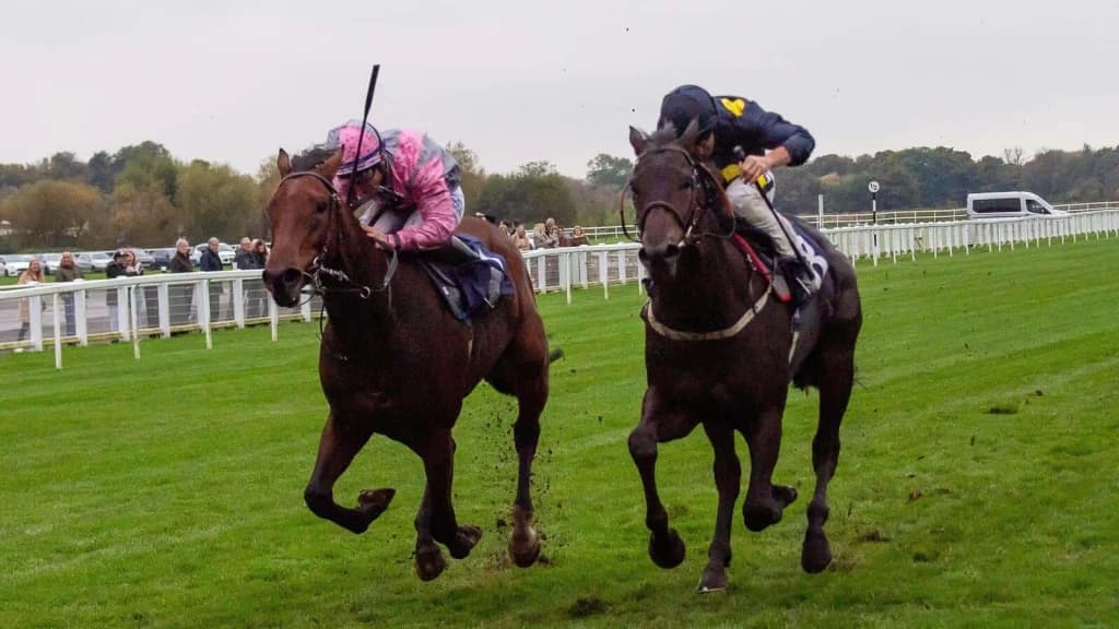 Sunday’s Horse Racing Tips: Windsor, December 15th