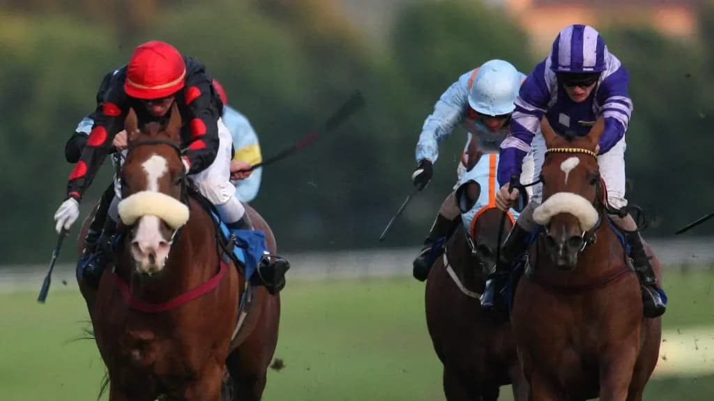 Sunday’s Horse Racing Tips: Hamilton, September 22nd