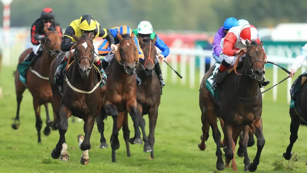 Friday's Horse Racing Tips: Doncaster, June 28th