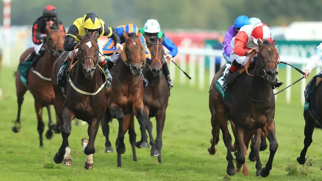 Saturday’s Horse Racing Tips: Newbury, Kelso and Doncaster, March 2nd