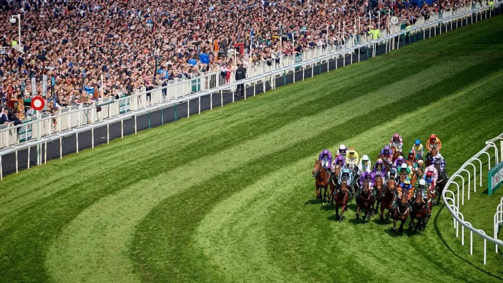 Sunday’s Horse Racing Tips: Aintree, October 29th
