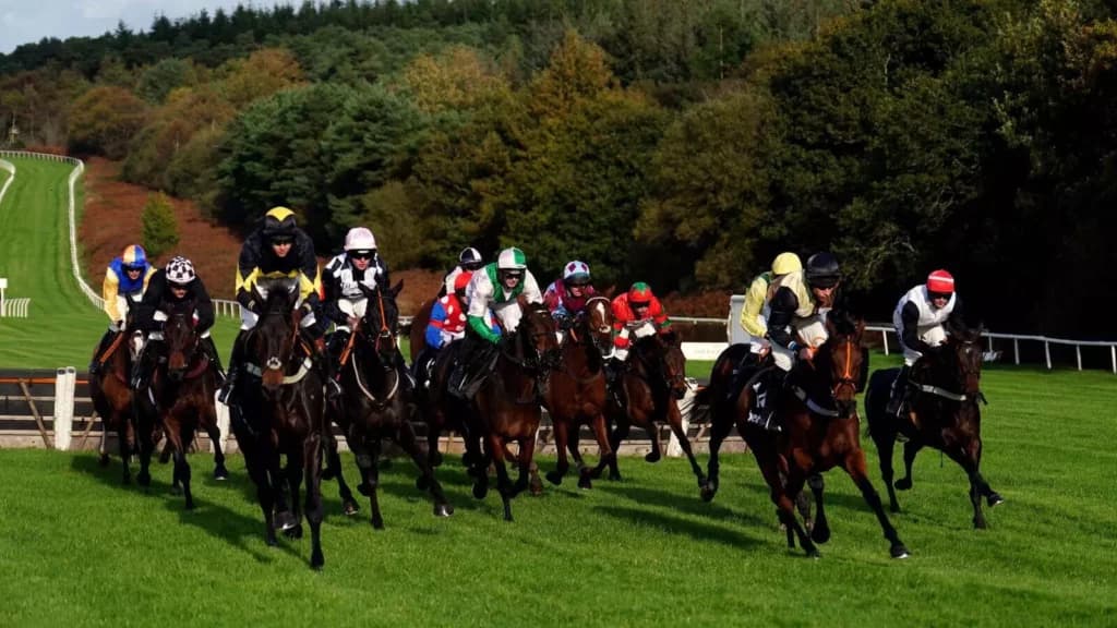 Friday’s Horse Racing Tips: Exeter, February 24th