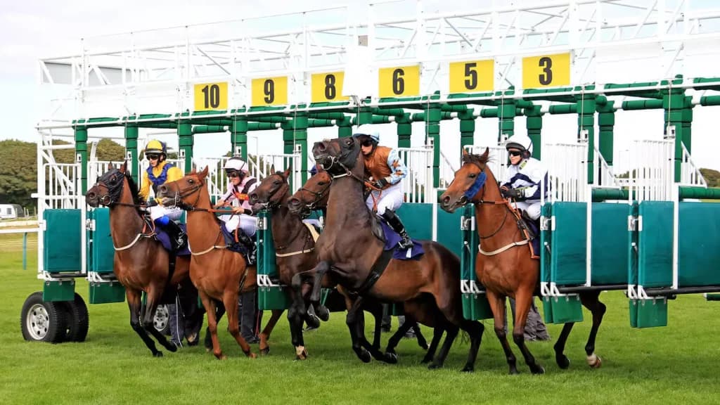 Tuesday’s Horse Racing Tips: Brighton, June 27h