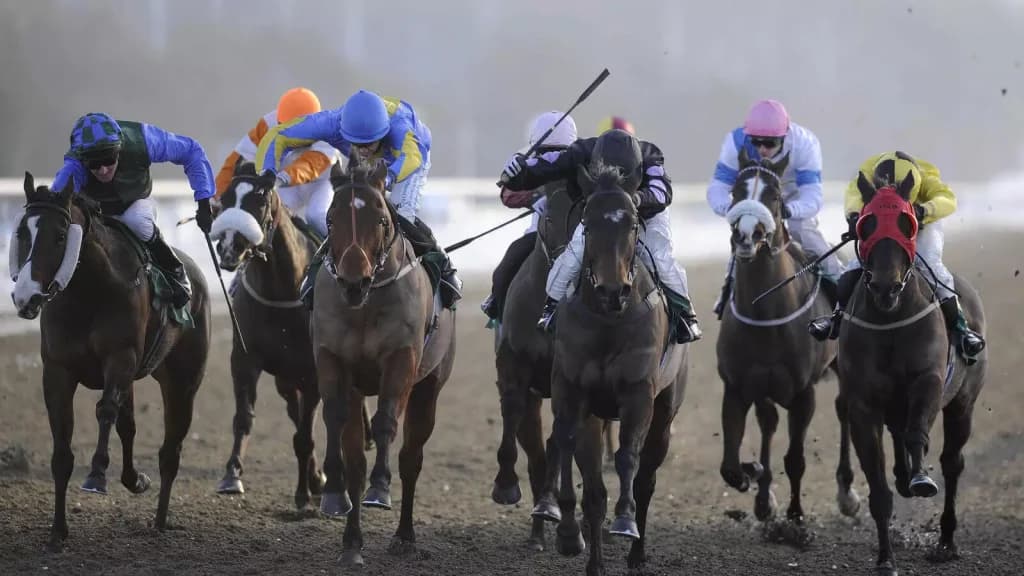 Tuesday’s Horse Racing Tips: Lingfield, December 5th