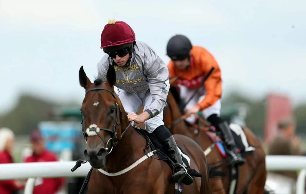 Tuesday’s Horse Racing Tips: Goodwood, July 26th
