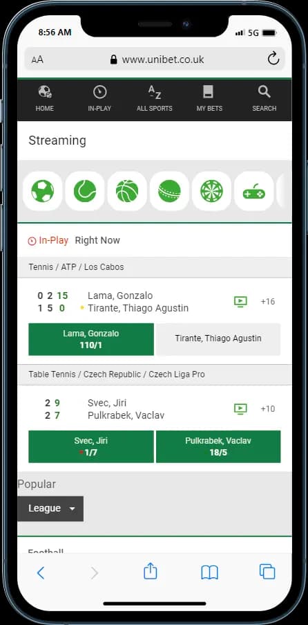 Unibet In Play