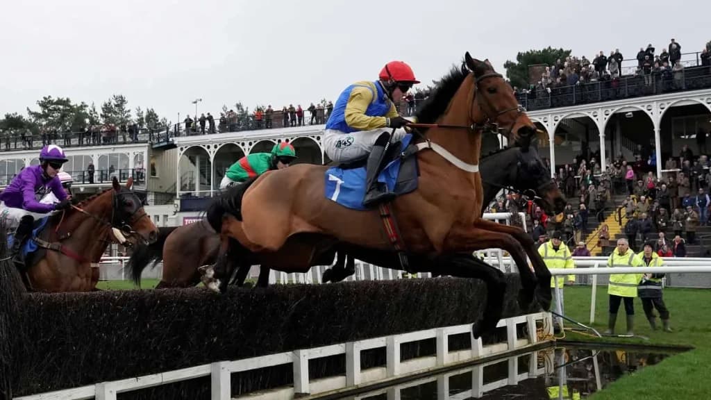 Thursday's Horse Racing Tips: Ludlow, October 24th