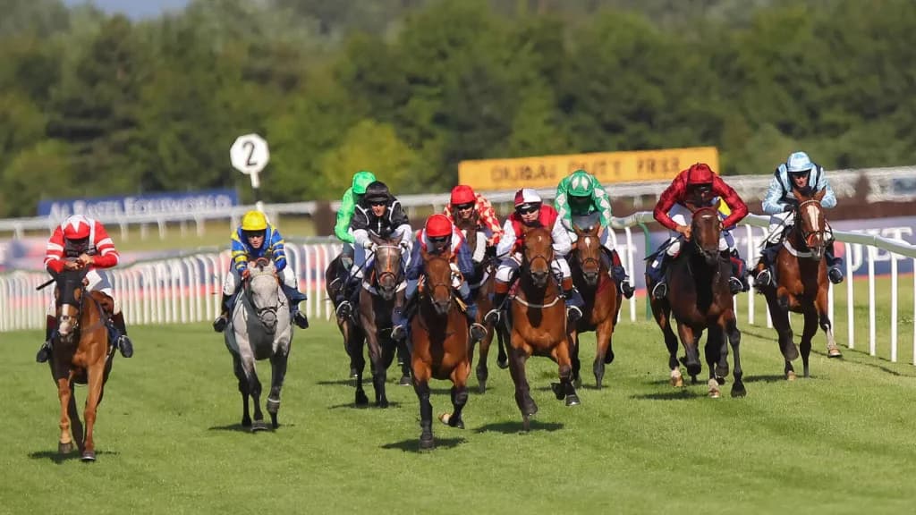 Saturday’s Horse Racing Tips: Newcastle, Newbury, December 2nd