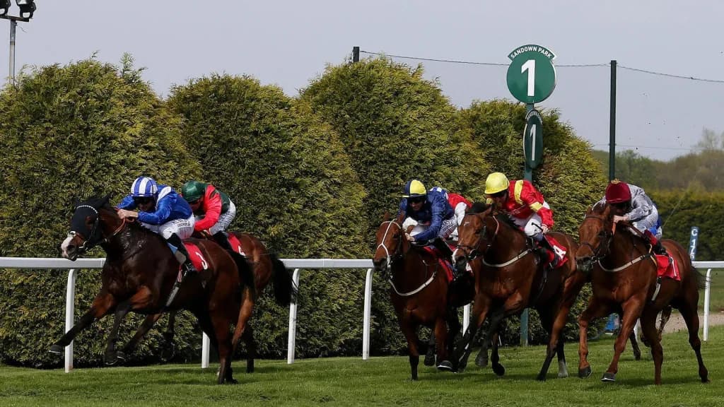 Friday's Horse Racing Tips: Sandown, January 26th