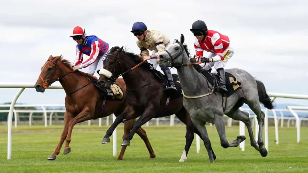 Sunday’s Horse Racing Tips: Carlisle, December 1st