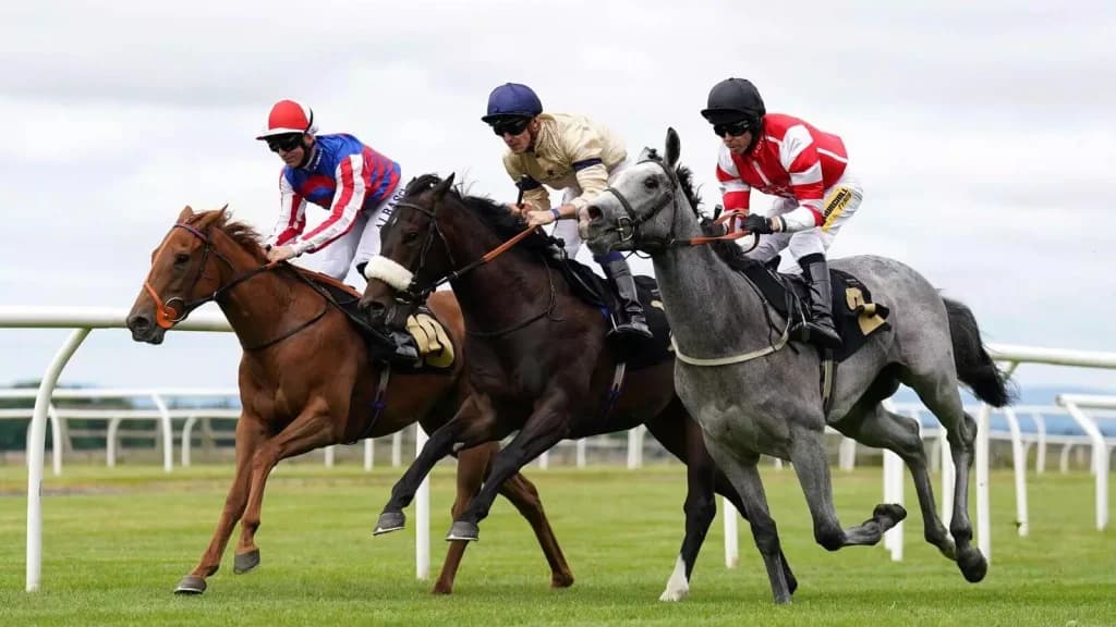 Thursday’s Horse Racing Tips: Carlisle, October 19th
