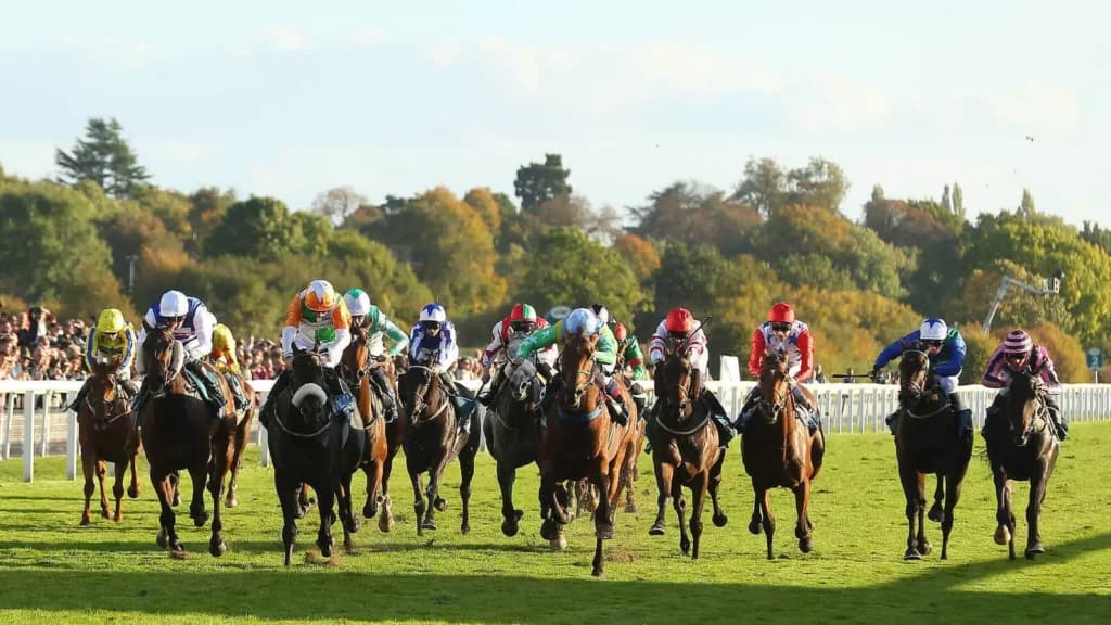 Wednesday’s Horse Racing Tips: York, May 17th