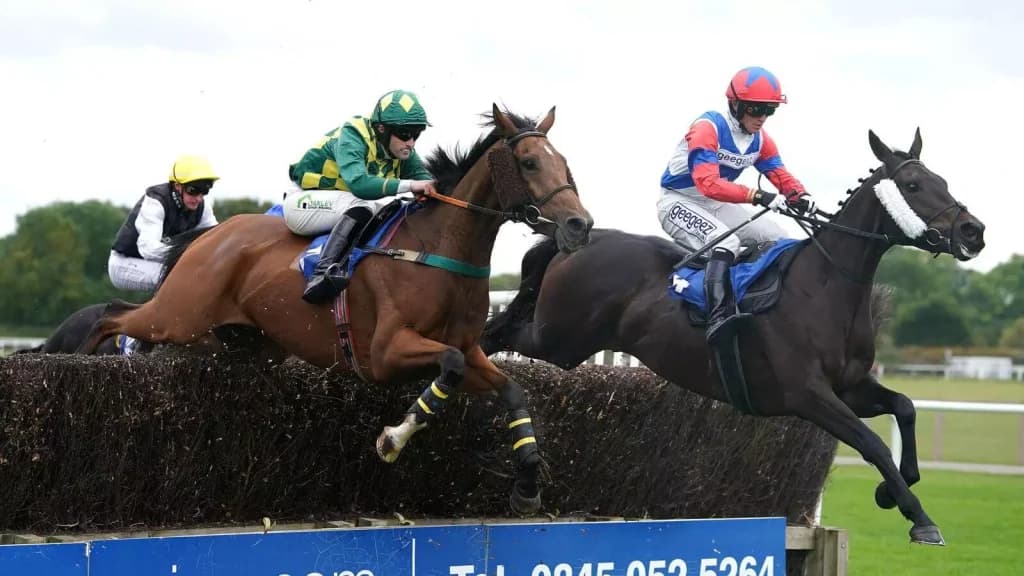 Thursday’s Horse Racing Tips: Stratford, November 2nd