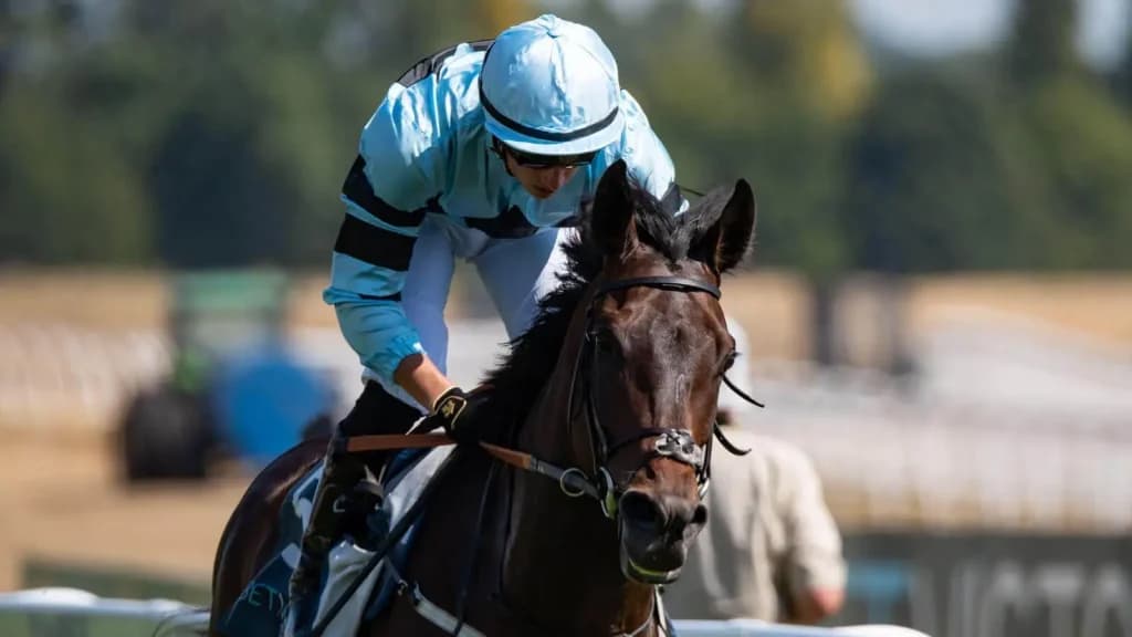 Friday's Horse Racing Tips: Newbury, March 22nd