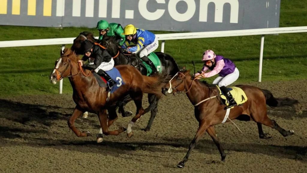 Wednesday’s Horse Racing Tips: Kempton, December 27th