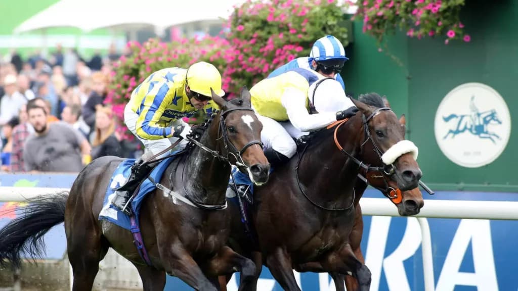 Thursday’s Horse Racing Tips: Hamilton, June 8th