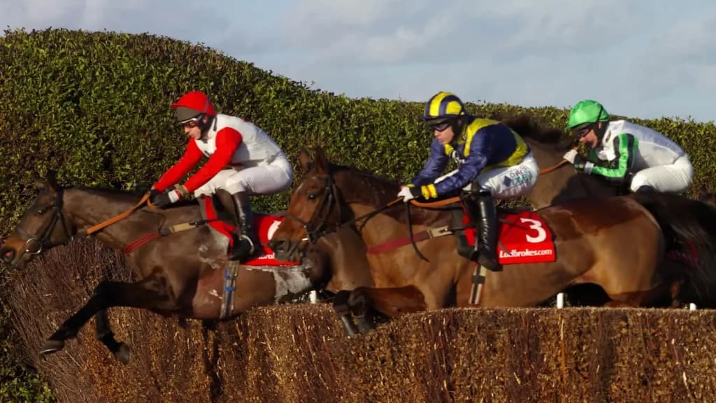 Thursday's Horse Racing Tips: Sandown, February 15th