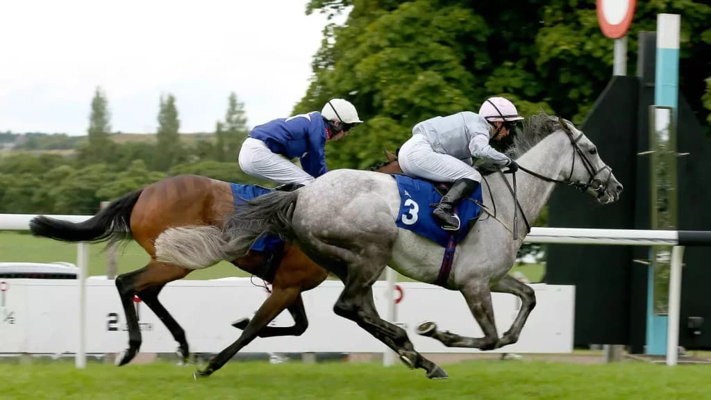 Wednesday’s Horse Racing Tips: Pontefract, August 9th