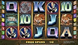 Multiline Slot Tomb Raider